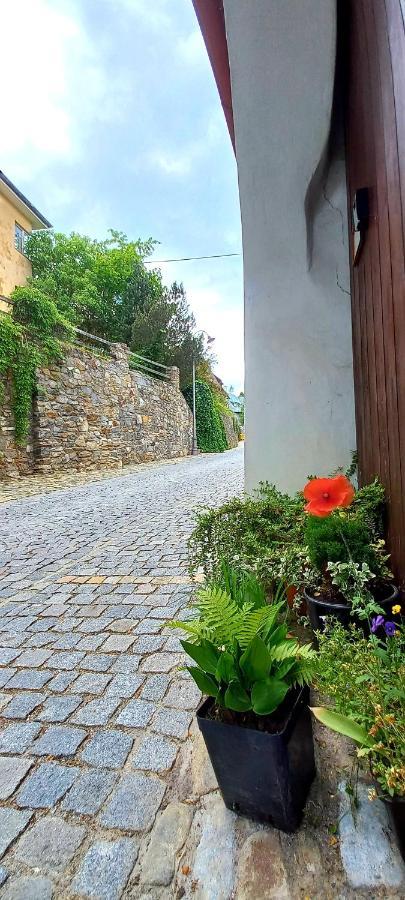 Penzion Merlin Cesky Krumlov Luaran gambar